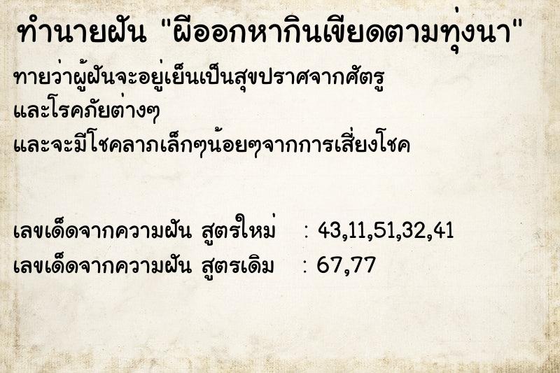 ทำนายฝันทำนายฝันผีออกหากินเขียดตามทุ่งนา