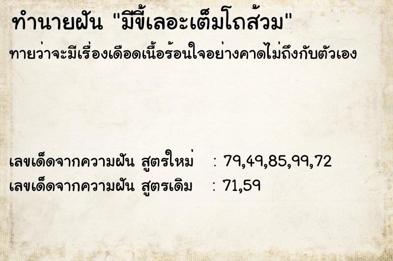 ทำนายฝัน มีขี้เลอะเต็มโถส้วม