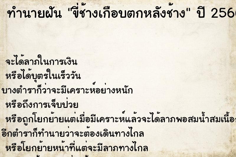 ทำนายฝัน ขี่ช้างเกือบตกหลังช้าง ตำราโบราณ แม่นที่สุดในโลก