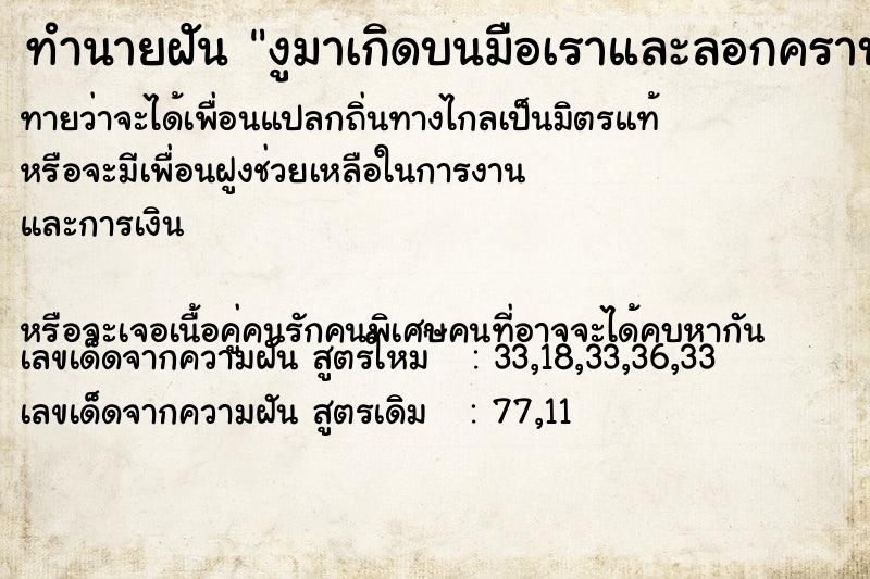 ทำนายฝันงูมาเกิดบนมือเราและลอกคราบด้วย ทำนายฝันทำนายฝันงูมาเกิดบนมือเราและลอกคราบด้วย