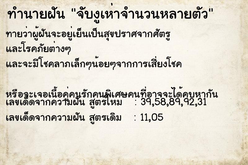 ทำนายฝันจับงูเห่าจำนวนหลายตัว ทำนายฝันทำนายฝันจับงูเห่าจำนวนหลายตัว