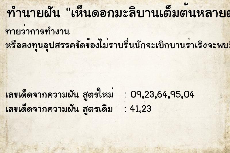 ทำนายฝัน เห็นดอกมะลิบานเต็มต้นหลายต้น ทำนายฝัน เห็นดอกมะลิบานเต็มต้นหลายต้น