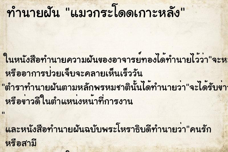 ทำนายฝัน แมวกระโดดเกาะหลัง ทำนายฝัน แมวกระโดดเกาะหลัง