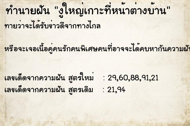 ทำนายฝันทำนายฝันงูใหญ่เกาะที่หน้าต่างบ้าน