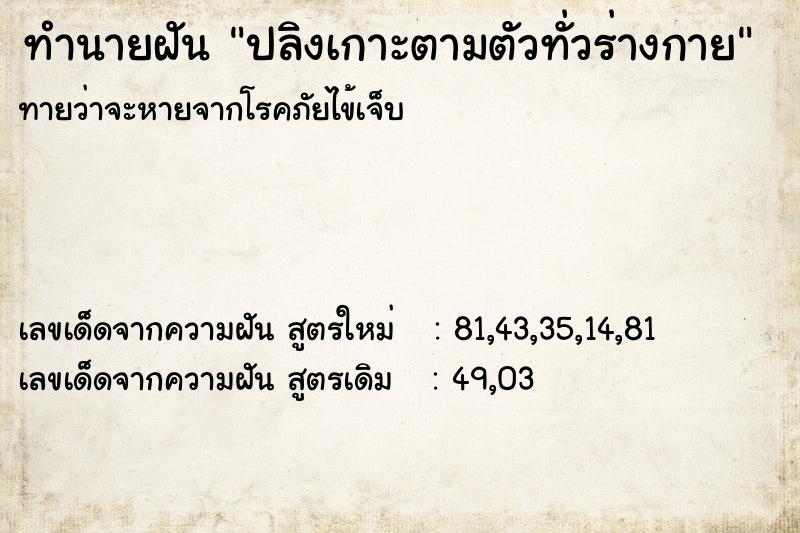 ทำนายฝันปลิงเกาะตามตัวทั่วร่างกาย ทำนายฝันทำนายฝันปลิงเกาะตามตัวทั่วร่างกาย
