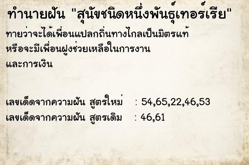 ทำนายฝันทำนายฝันสุนัขชนิดหนึ่งพันธุ์เทอร์เรีย