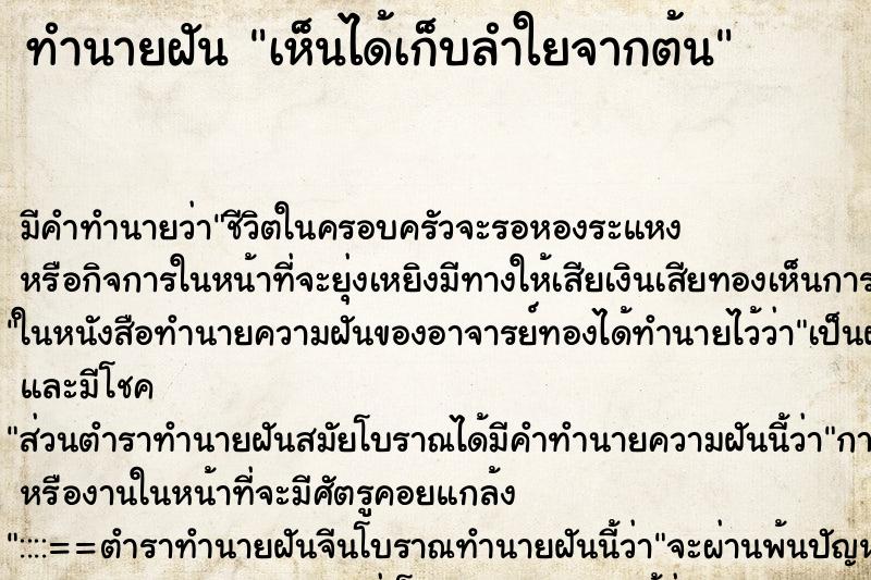 ทำนายฝัน เห็นได้เก็บลำใยจากต้น ทำนายฝัน เห็นได้เก็บลำใยจากต้น