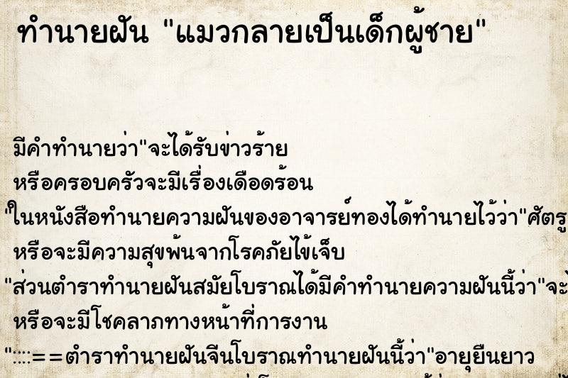 ทำนายฝัน แมวกลายเป็นเด็กผู้ชาย