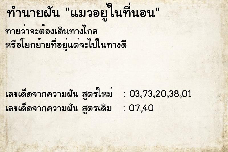 ทำนายฝันทำนายฝันแมวอยู่ในที่นอน