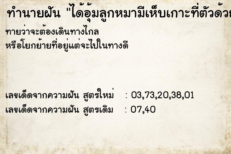 ทำนายฝันทำนายฝันได้อุ้มลูกหมามีเห็บเกาะที่ตัวด้วย