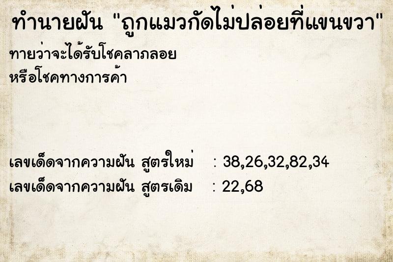 ทำนายฝันทำนายฝันถูกแมวกัดไม่ปล่อยที่แขนขวา