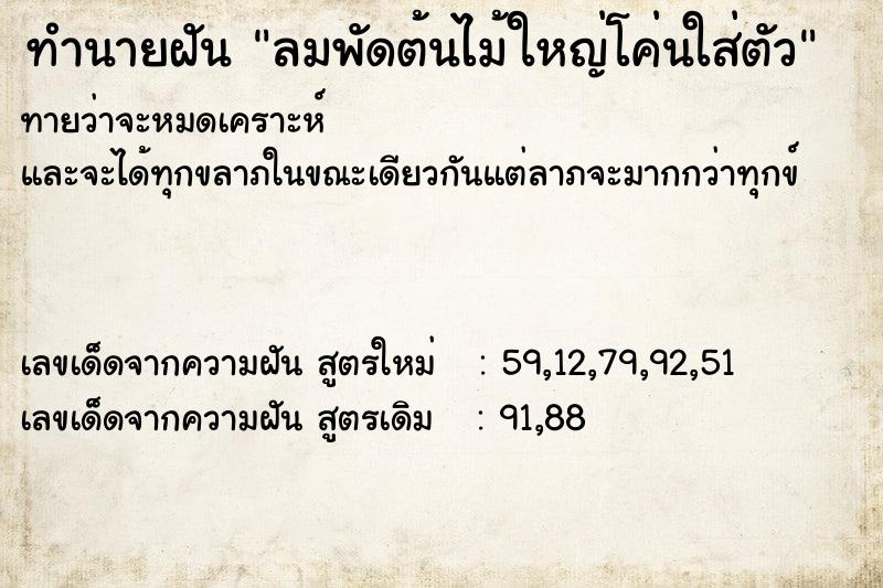 ทำนายฝันทำนายฝันลมพัดต้นไม้ใหญ่โค่นใส่ตัว