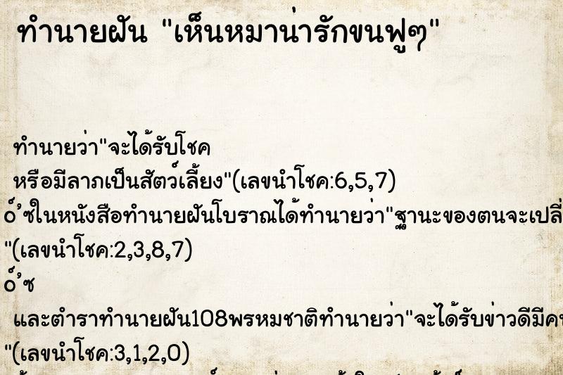 ทำนายฝัน เห็นหมาน่ารักขนฟูๆ