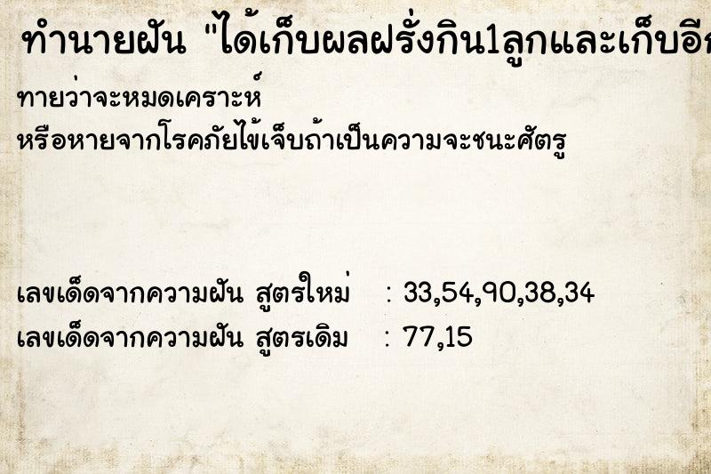 ทำนายฝัน ได้เก็บผลฝรั่งกิน1ลูกและเก็บอีก2ลูก