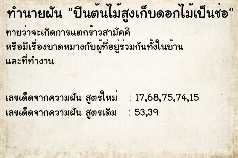 ทำนายฝันทำนายฝันปีนต้นไม้สูงเก็บดอกไม้เป็นช่อ