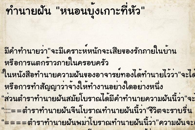 ทำนายฝัน หนอนบุ้งเกาะที่หัว ทำนายฝัน หนอนบุ้งเกาะที่หัว