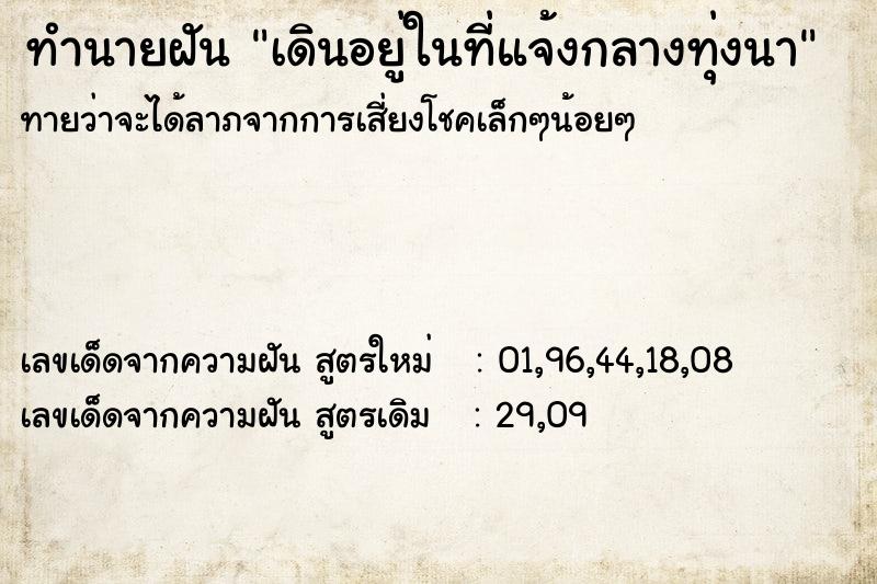 ทำนายฝันเดินอยู่ในที่แจ้งกลางทุ่งนา ทำนายฝันทำนายฝันเดินอยู่ในที่แจ้งกลางทุ่งนา
