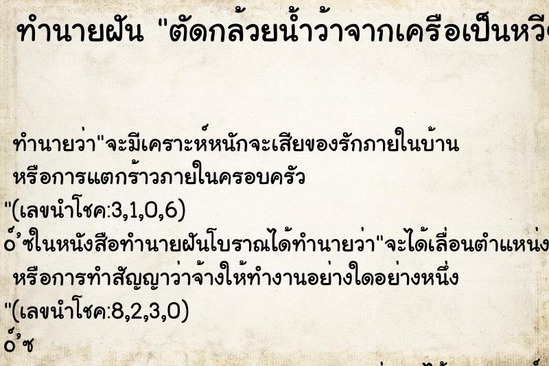 ทำนายฝันทำนายฝันตัดกล้วยน้ำว้าจากเครือเป็นหวีๆ