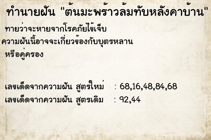 ทำนายฝัน ต้นมะพร้าวล้มทับหลังคาบ้าน ทำนายฝัน ต้นมะพร้าวล้มทับหลังคาบ้าน