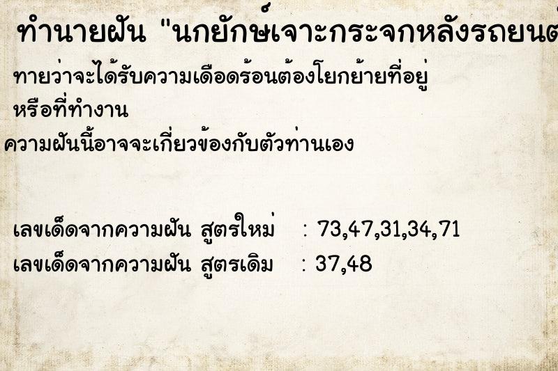 ทำนายฝันนกยักษ์เจาะกระจกหลังรถยนต์ ทำนายฝันทำนายฝันนกยักษ์เจาะกระจกหลังรถยนต์