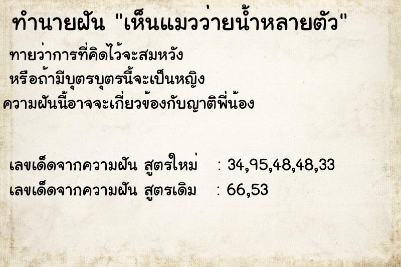 ทำนายฝัน เห็นแมวว่ายน้ำหลายตัว ทำนายฝัน เห็นแมวว่ายน้ำหลายตัว