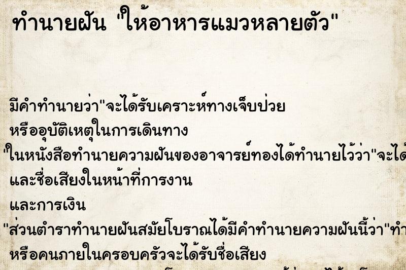 ทำนายฝัน ให้อาหารแมวหลายตัว