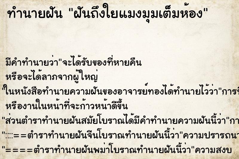 ทำนายฝัน ฝันถึงใยแมงมุมเต็มห้อง ทำนายฝัน ฝันถึงใยแมงมุมเต็มห้อง