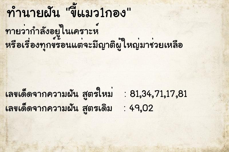 ทำนายฝันขี้แมว1กอง ทำนายฝันทำนายฝันขี้แมว1กอง