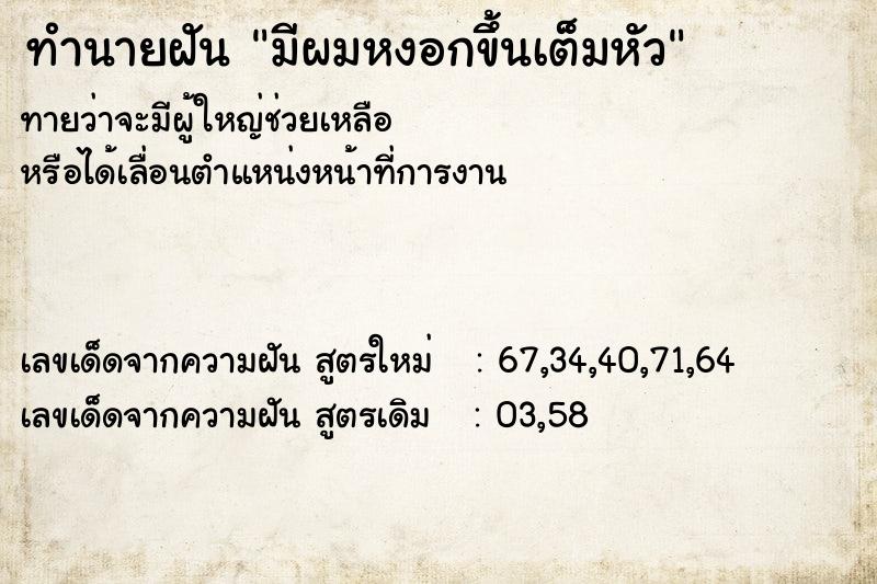 ทำนายฝันมีผมหงอกขึ้นเต็มหัว ทำนายฝันทำนายฝันมีผมหงอกขึ้นเต็มหัว