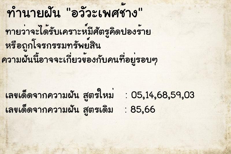 ทำนายฝันทำนายฝันอวัวะเพศช้าง