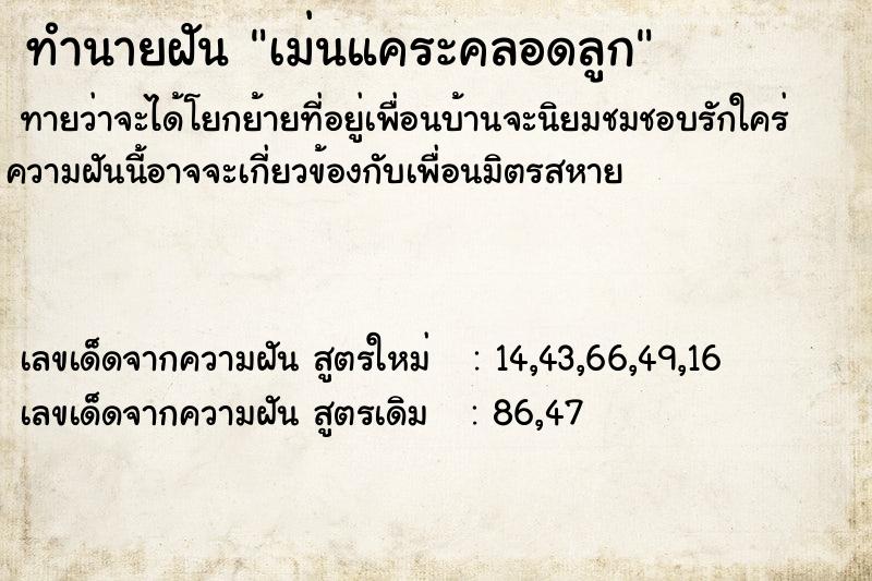 ทำนายฝันเม่นแคระคลอดลูก ทำนายฝันทำนายฝันเม่นแคระคลอดลูก