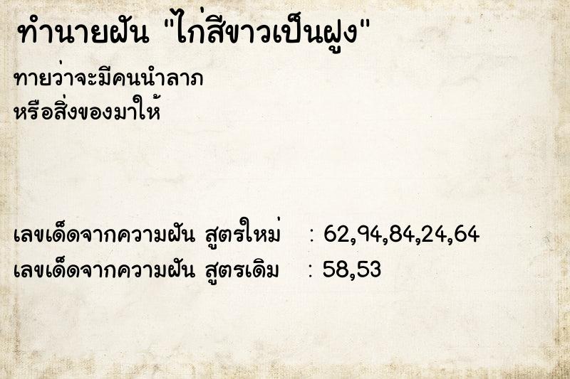 ทำนายฝันทำนายฝันไก่สีขาวเป็นฝูง