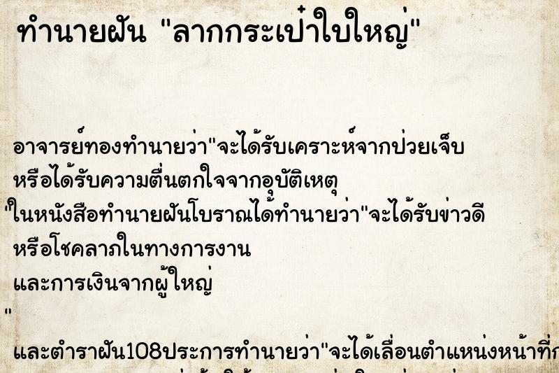 ทำนายฝัน ลากกระเป๋าใบใหญ่ ทำนายฝัน ลากกระเป๋าใบใหญ่