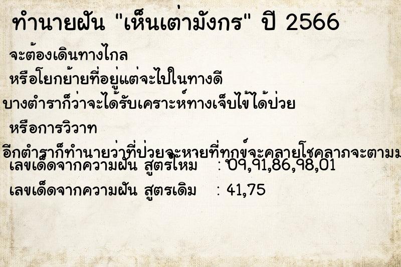 ทำนายฝันทำนายฝันเห็นเต่ามังกร