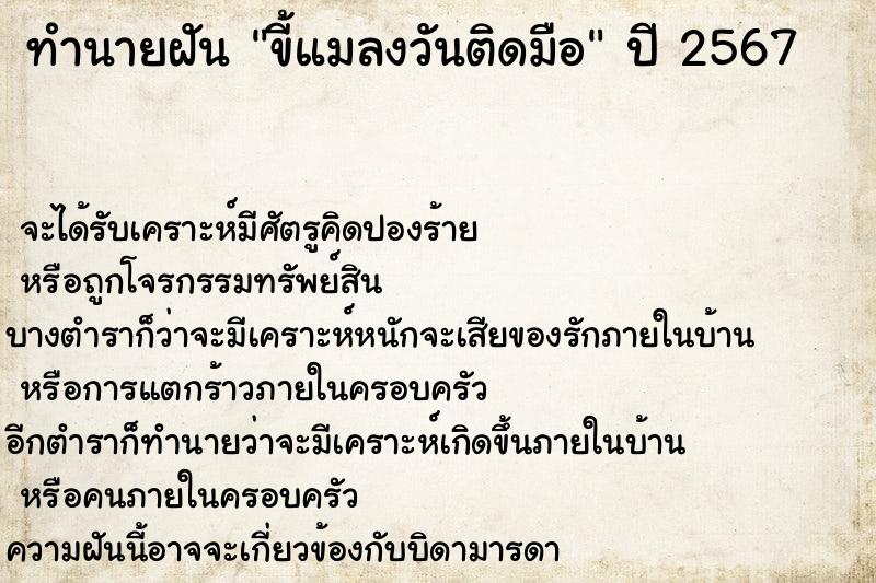 ทำนายฝันขี้แมลงวันติดมือ ทำนายฝันทำนายฝันขี้แมลงวันติดมือ