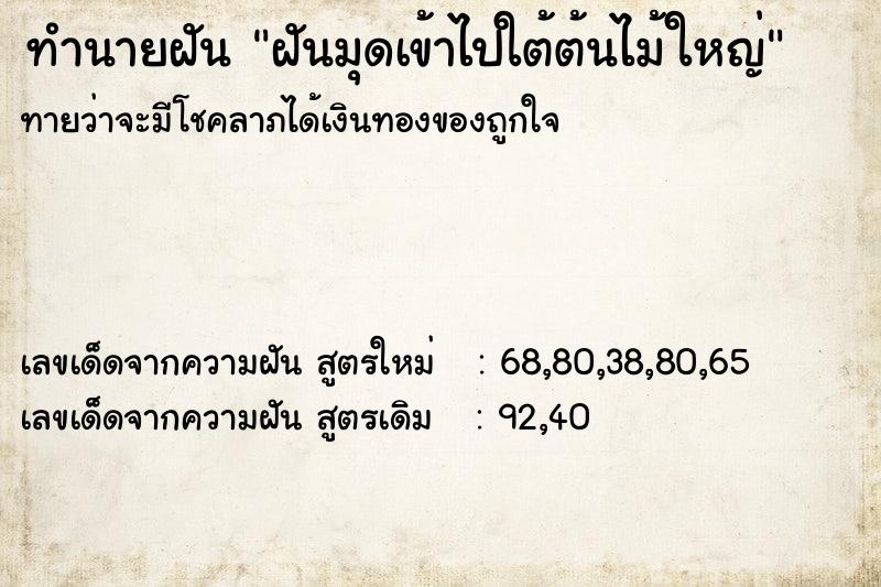 ทำนายฝันทำนายฝันฝันมุดเข้าไปใต้ต้นไม้ใหญ่