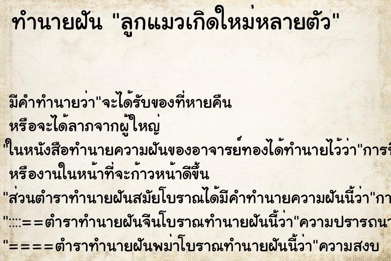 ทำนายฝันลูกแมวเกิดใหม่หลายตัว ทำนายฝันทำนายฝันลูกแมวเกิดใหม่หลายตัว
