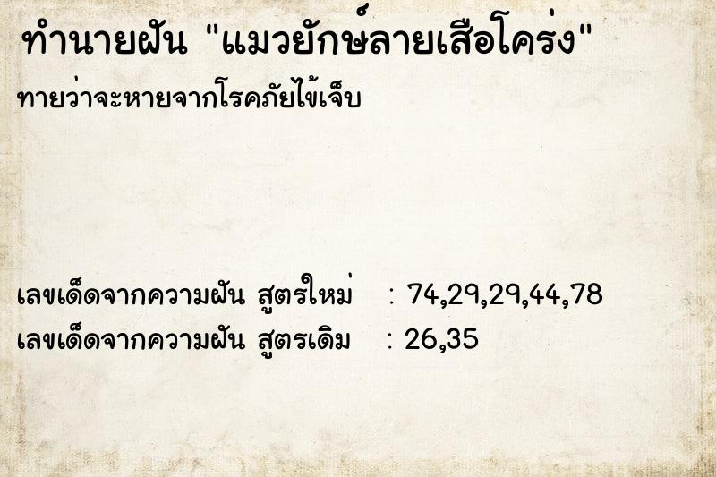 ทำนายฝันทำนายฝันแมวยักษ์ลายเสือโคร่ง