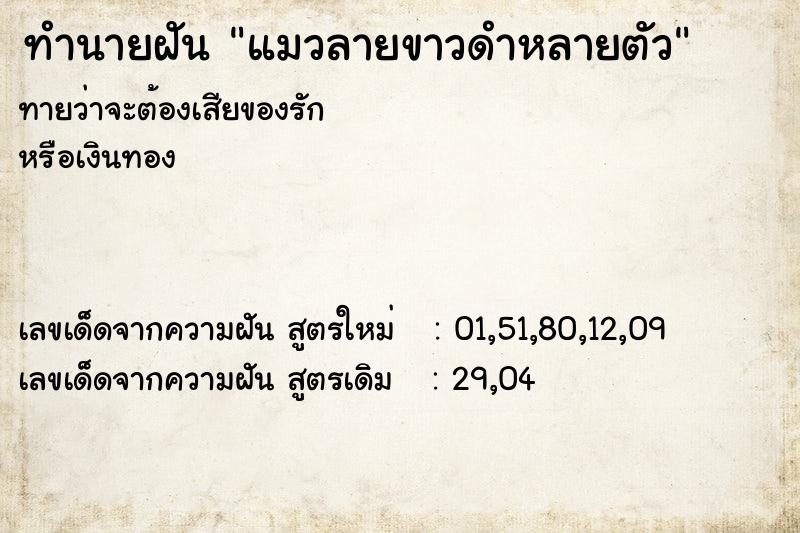 ทำนายฝันแมวลายขาวดำหลายตัว ทำนายฝันทำนายฝันแมวลายขาวดำหลายตัว