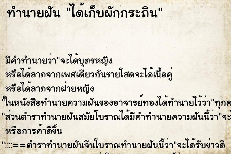 ทำนายฝัน ได้เก็บผักกระถิน ทำนายฝัน ได้เก็บผักกระถิน