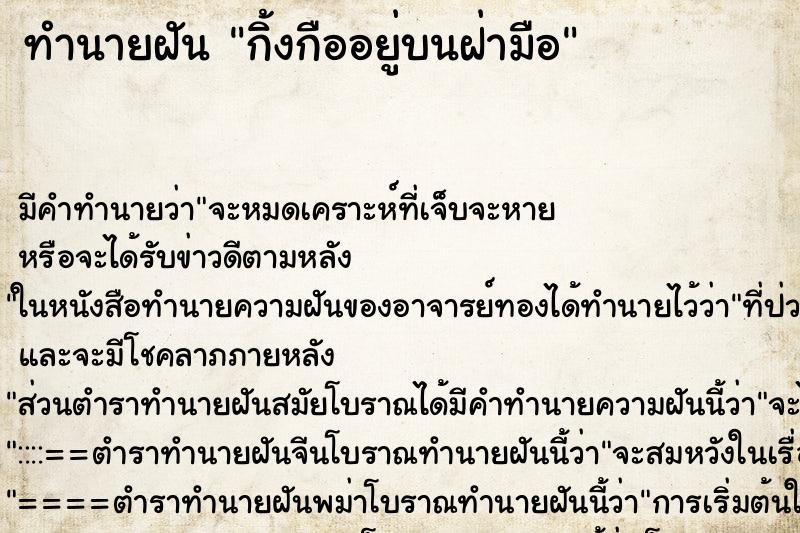 ทำนายฝัน กิ้งกืออยู่บนฝ่ามือ ทำนายฝัน กิ้งกืออยู่บนฝ่ามือ