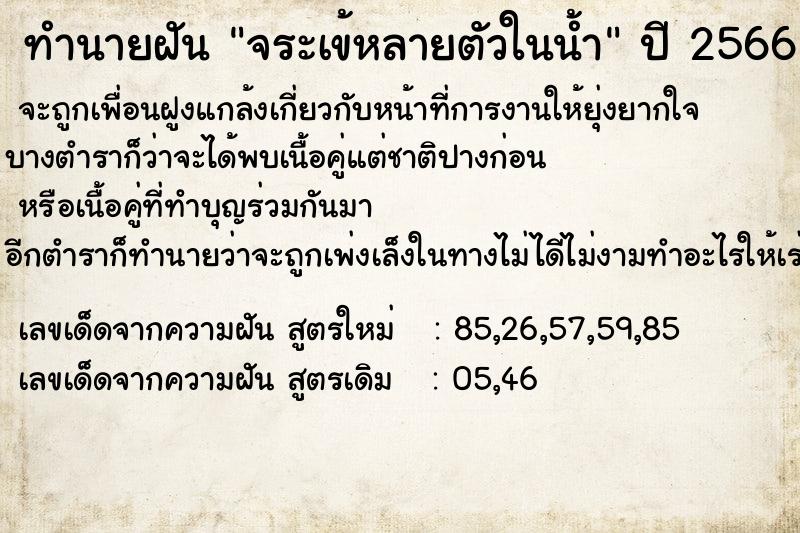 ทำนายฝัน จระเข้หลายตัวในน้ำ ทำนายฝัน จระเข้หลายตัวในน้ำ
