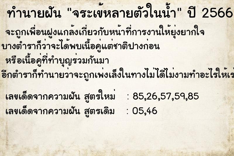 ทำนายฝัน จระเข้หลายตัวในน้ำ ตำราโบราณ แม่นที่สุดในโลก