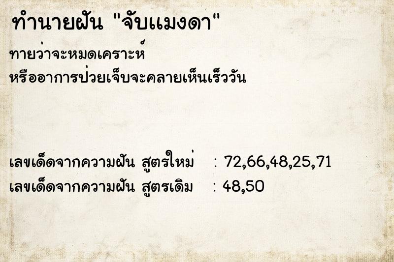 ทำนายฝันจับเเมงดา ทำนายฝันทำนายฝันจับเเมงดา