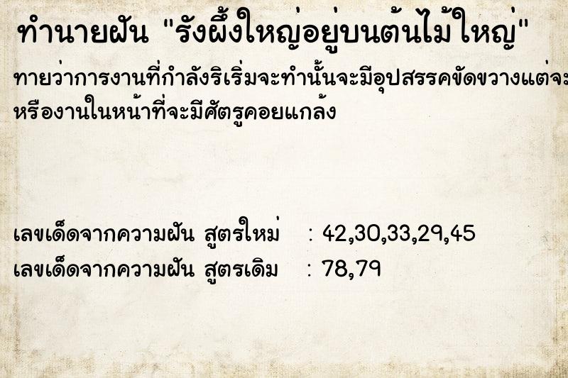ทำนายฝัน รังผึ้งใหญ่อยู่บนต้นไม้ใหญ่