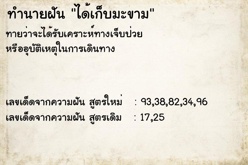 ทำนายฝันได้เก็บมะขาม ทำนายฝันทำนายฝันได้เก็บมะขาม