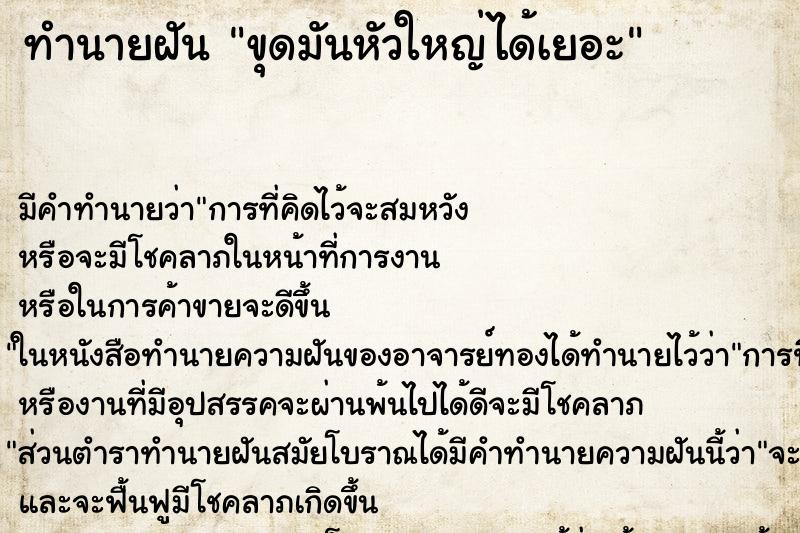 ทำนายฝัน ขุดมันหัวใหญ่ได้เยอะ