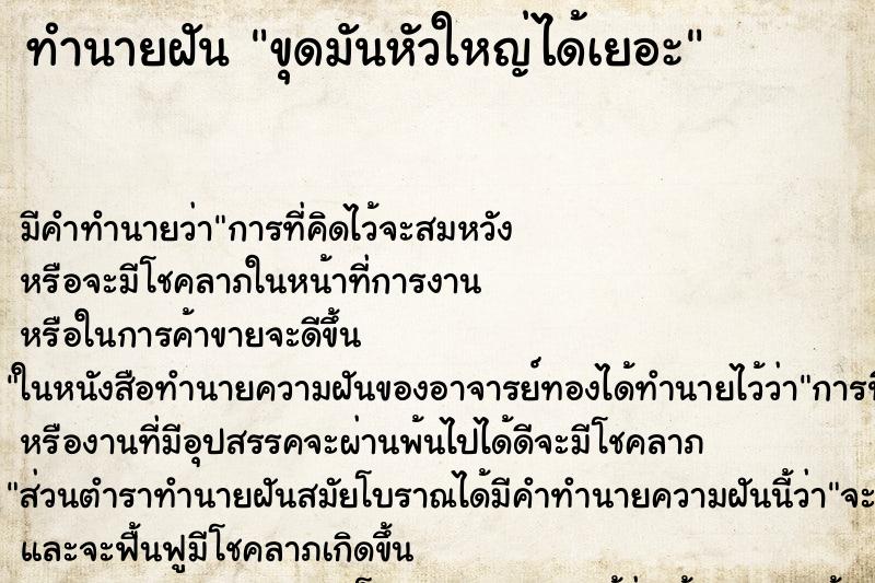 ทำนายฝัน ขุดมันหัวใหญ่ได้เยอะ ตำราโบราณ แม่นที่สุดในโลก