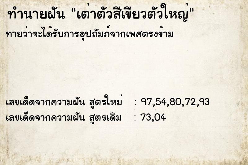 ทำนายฝันทำนายฝันเต่าตัวสีเขียวตัวใหญ่