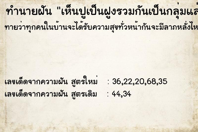 ทำนายฝันเห็นปูเป็นฝูงรวมกันเป็นกลุ่มแล้วเราจะถ่ายรูป ทำนายฝันทำนายฝันเห็นปูเป็นฝูงรวมกันเป็นกลุ่มแล้วเราจะถ่ายรูป